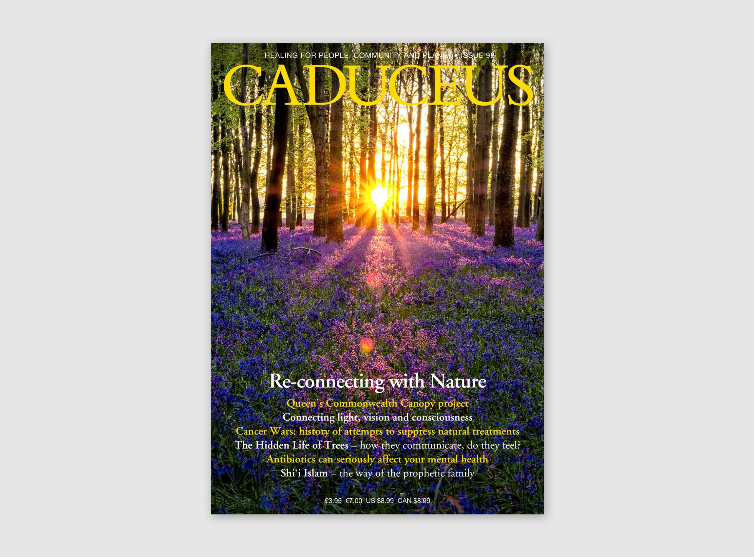cad-98-cover